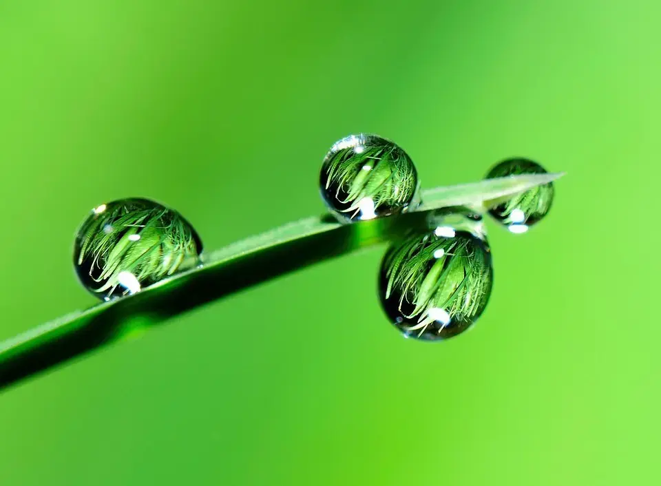 5 uundværlige klinger til multicutteren