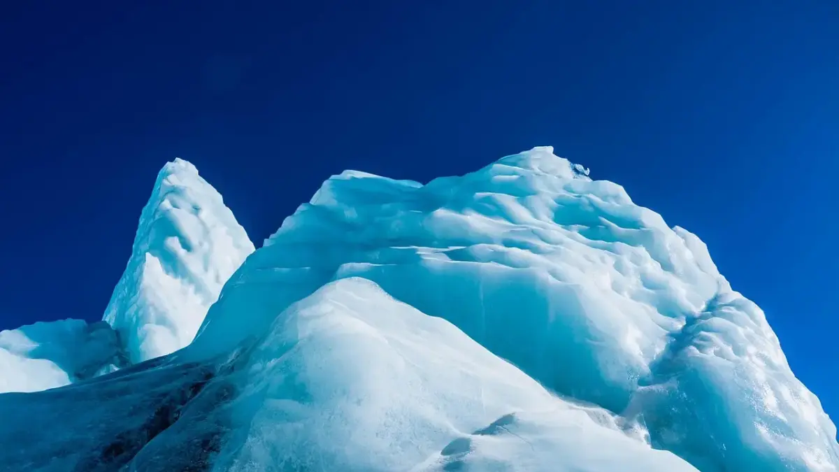 80 40 40 40 - Hvad er formålet med opkaldet?