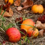 9 tegn på råd i tagkonstruktionen