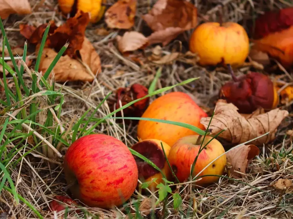 9 tegn på råd i tagkonstruktionen