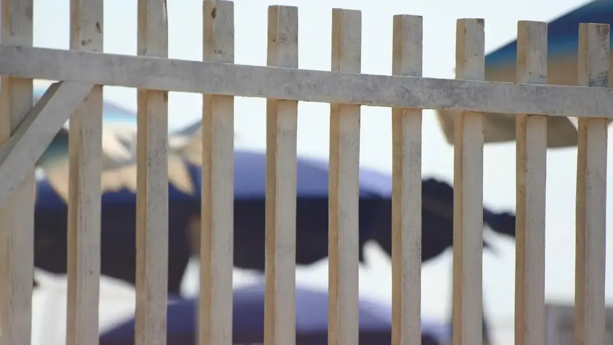 Byg dit raftehegn selv - sådan gør du