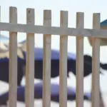 Byg dit raftehegn selv - sådan gør du