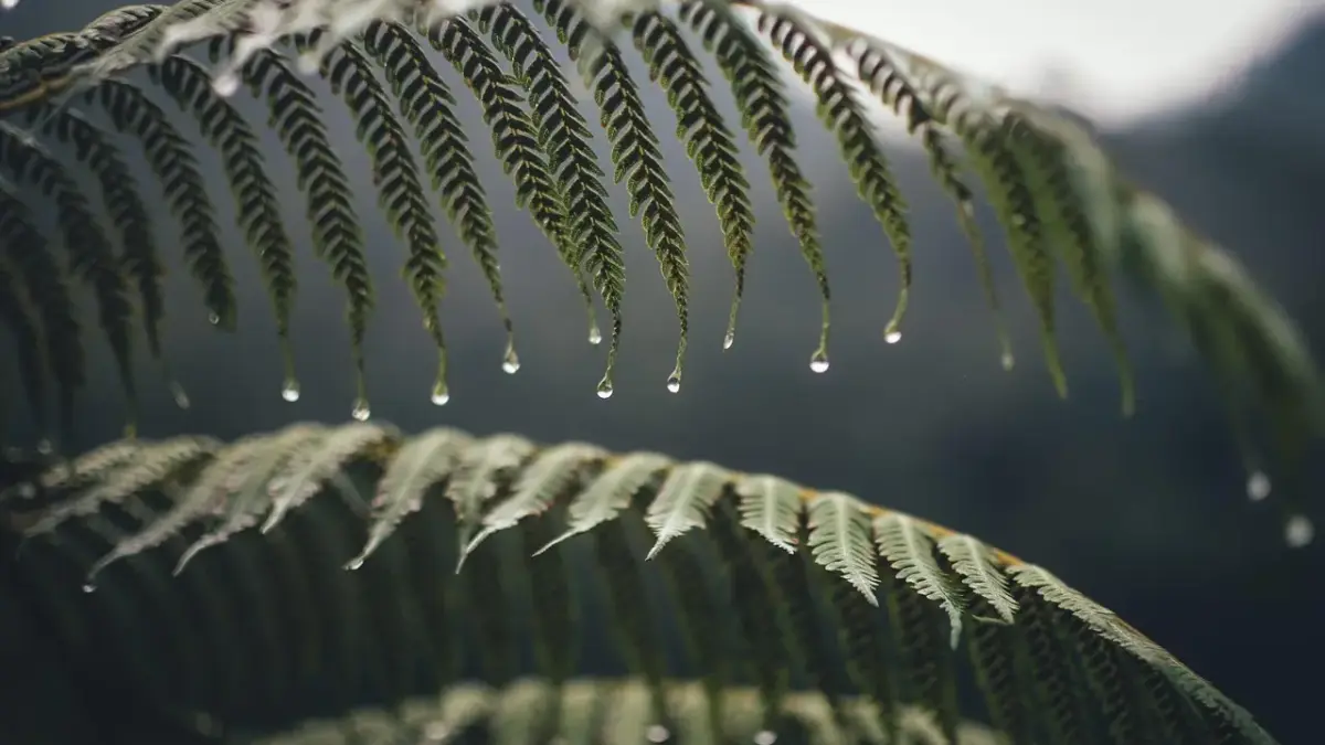 Hvad er en byggesagkyndig? - Din guide til tryg boligkøb og færre dyre overraskelser