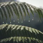 Hvad er en byggesagkyndig? - Din guide til tryg boligkøb og færre dyre overraskelser