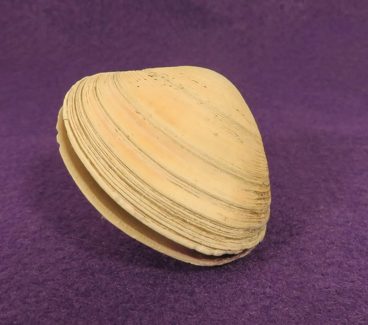 Hvordan justerer jeg soft-close-hængsler korrekt?