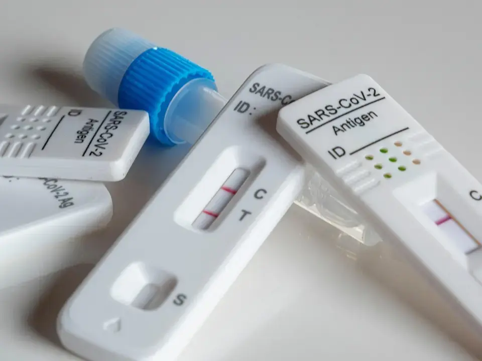 Hvordan tester man for skimmelsvamp? Guide til hurtige tests, advarselstegn og næste skridt