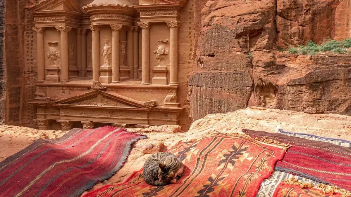 Medvirkende i Space Jam