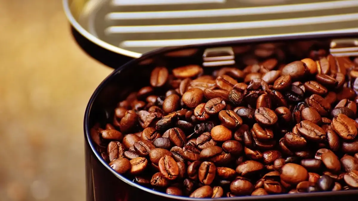 Ørken i Krydsord Hjælp