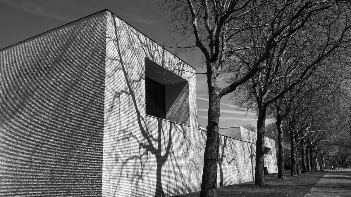 Pudsning af kældervægge med saneringspuds