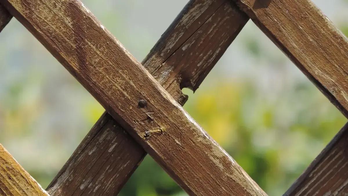 Sådan bygger du et flot havehegn med sorte kompositbrædder og stålstolper