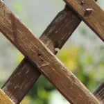 Sådan bygger du et flot havehegn med sorte kompositbrædder og stålstolper